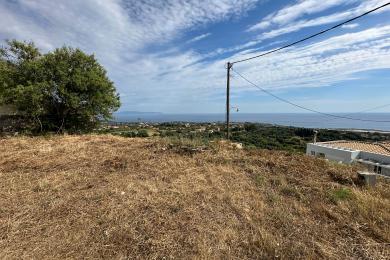 Agricultural Land Plot Sale - LAKITHRA, MUNICIPALITY OF LIVATHOS - SOUTH