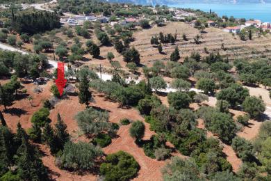 Land Sale - ASSOS, MUNICIPALITY OF ERISSOS - NORTH