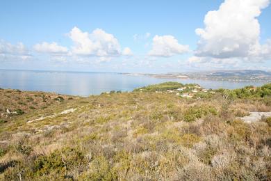 Agricultural Land Plot Sale - LASSI, MUNICIPALITY OF ARGOSTOLI - SOUT