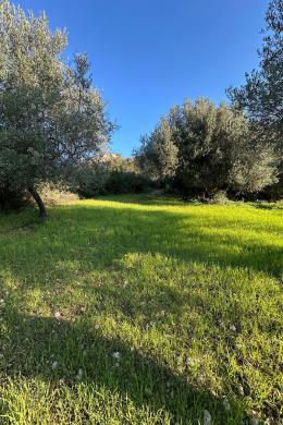 Terreno Vendita - TRAPEZAKI, COMUNE DI LIVATHOS - SUDOVEST
