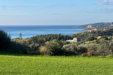 Agricultural Land Plot Sale - TRAPEZAKI, MUNICIPALITY OF LIVATHOS - SOUTH