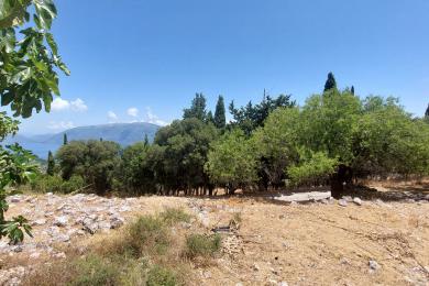 Land Sale - NIOCHORI, MUNICIPALITY OF ERISSOS - NORTH