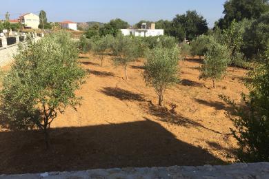 Land Sale - LAKITHRA, MUNICIPALITY OF LIVATHOS - SOUTH