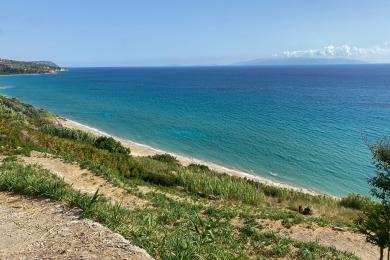 Agricultural Land Plot Sale - VLACHATA, MUNICIPALITY OF LIVATHOS - SOUTH