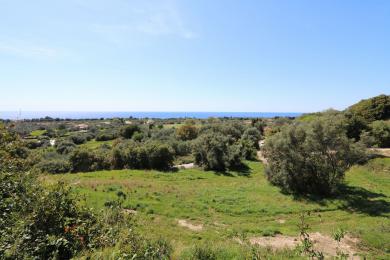 Agricultural Land Plot Sale - SARLATA, MUNICIPALITY OF LIVATHOS - SOUTH