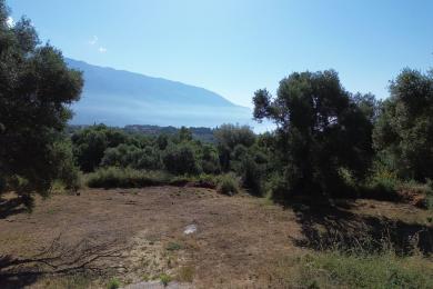 Agricultural Land Plot Sale - ARGOSTOLI, MUNICIPALITY OF ARGOSTOLI - SOUT