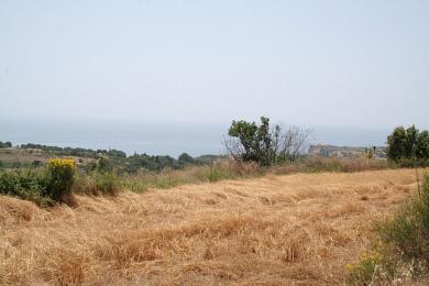 Agricultural Land Plot Sale - METAXATA, MUNICIPALITY OF LIVATHOS - SOUTH