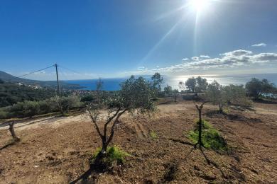 Agricultural Land Plot Sale - VLACHATA, MUNICIPALITY OF LIVATHOS - SOUTH