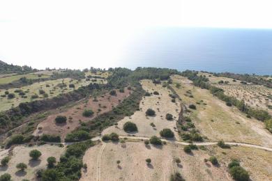 Agricultural Land Plot Sale - SIMOTATA, MUNICIPALITY OF LIVATHOS - SOUTH