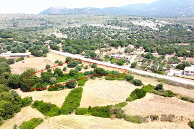 Agricultural Land Plot Sale - DORIZATA, MUNICIPALITY OF LIVATHOS - SOUTH