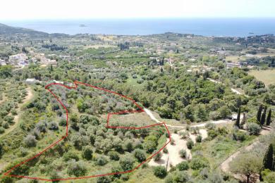 Agricultural Land Plot Sale - SVORONATA, MUNICIPALITY OF LIVATHOS - SOUTH