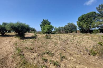 Agricultural Land Plot Sale - MANTZAVINATA, MUNICIPALITY OF PALIKI - WEST