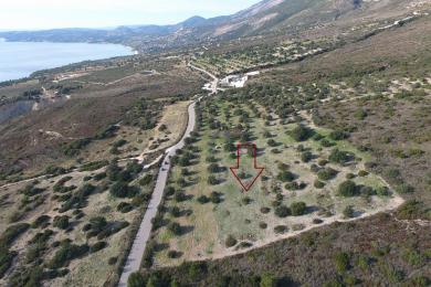 Agricultural Land Plot Sale - SIMOTATA, MUNICIPALITY OF LIVATHOS - SOUTH