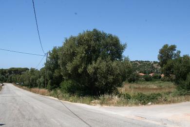 Agricultural Land Plot Sale - RAZATA, MUNICIPALITY OF ARGOSTOLI - SOUT