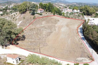 Agricultural Land Plot Sale - SOULARI, MUNICIPALITY OF PALIKI - WEST