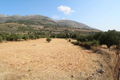 Agricultural Land Plot Sale - AGIA EFFIMIA, MUNICIPALITY OF PYLAROS - NORTHE