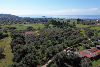 Agricultural Land Plot Sale - AVYTHOS, MUNICIPALITY OF LIVATHOS - SOUTH